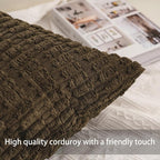 Aegero Pack of 2 Corduroy Decorative Throw Pillow Covers 24x24 Inch - Image 2