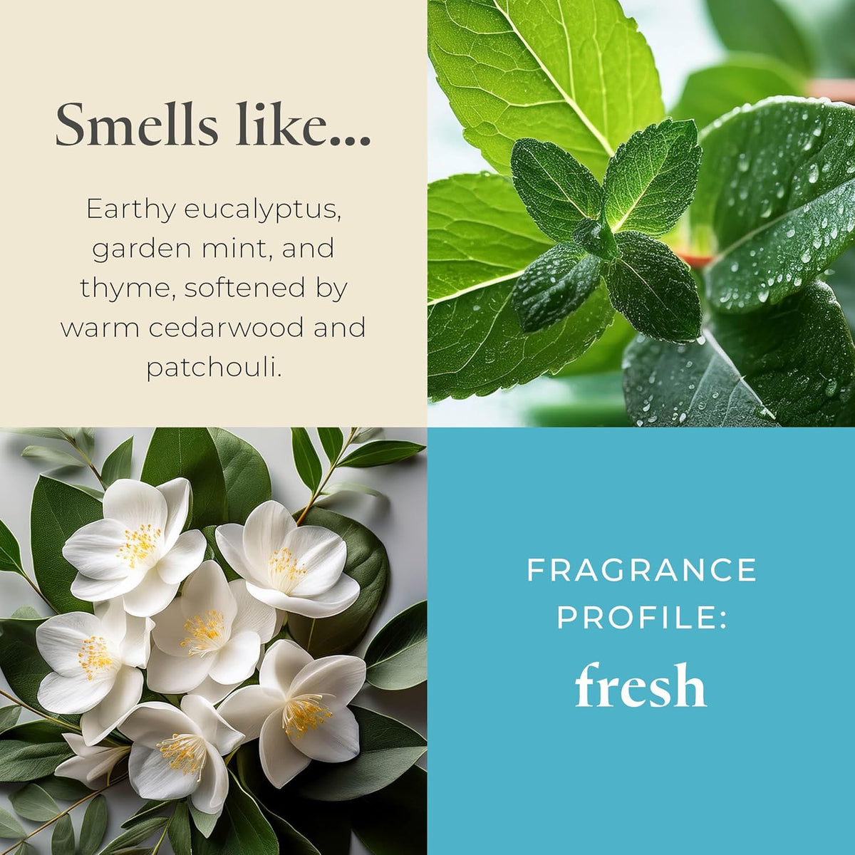 PartyLite Farm Fresh Herbs Scented, Notes of Eucalyptus, Thyme, Garden Mint, Cedarwood & Patchouli, 13.2oz 3-Wick Jar Candle, 45 Hour Burn Time, Luxurious Fragrance, Ideal for Gifting