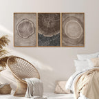 SIGNINART Beige Tree Ring Framed Canvas Wall Art Set, Abstract Black and White Rustic Wood Wall Decor, Neutral Wood Stump Artwork, Modern Art Prints for Bedroom Living Room Office 16"x24"x3
