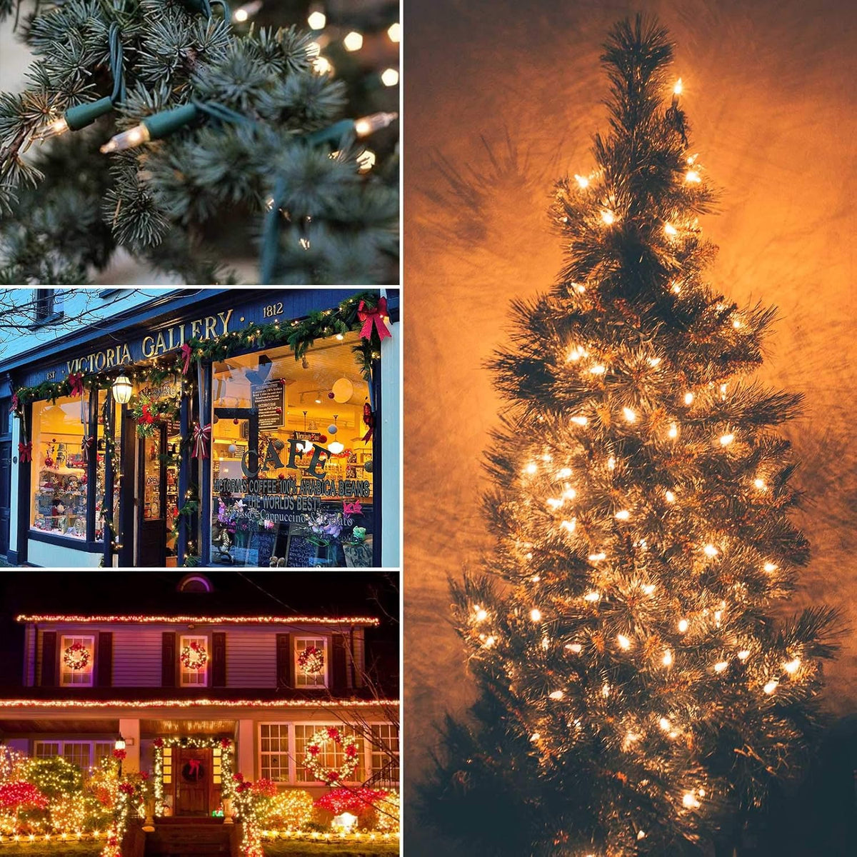 Brightown 50 Count Warm White Christmas Lights, Clear Mini Incandescent Lights on White Wire, Christmas Tree String Lights for Indoor Outdoor Decorations（12ft）