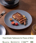 Famiware Venus Plates and Bowls Sets, 12 Pieces Stoneware Speckled Dinnerware Sets, Dishes Set for 4, Microwave and Dishwasher Safe, Matte Charcoal