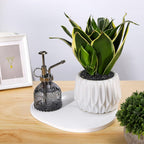 Glass Plant Mister Spray Bottle, Vintage Plant Spritzer, Succulent Spray Bottle with Top Pump, Small Plant Sprayer Mister Glass Watering Can for Indoor Outdoor House Plant - Grey