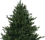 Naomi Home 7.5ft Traditional Christmas Tree with Lights Realistic Classic Christmas Tree Prelit with 4130 Branch Tips 600 Warm Lights and Metal Stand Aritificial
