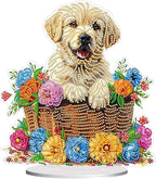 Diamond Painting Kits for Adults Beginners, 5D Full Drill Dog Crystal Art Desktop Ornament, DIY Single Sided Home Office Desk Decor, Creative Craft Gift Set with Tools