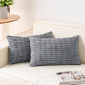 Pack of 2 Corduroy Decorative Throw Pillow Covers 12x20 Inch, Light Grey | Fall by Unknown