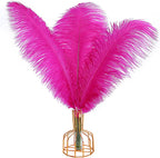 THARAHT Hot Pink Ostrich Feathers 12pcs Large Natural Bulk 20-22Inch 50cm-55cm for Wedding Party Centerpieces Easter Gatsbi and Home Decoration Feathers