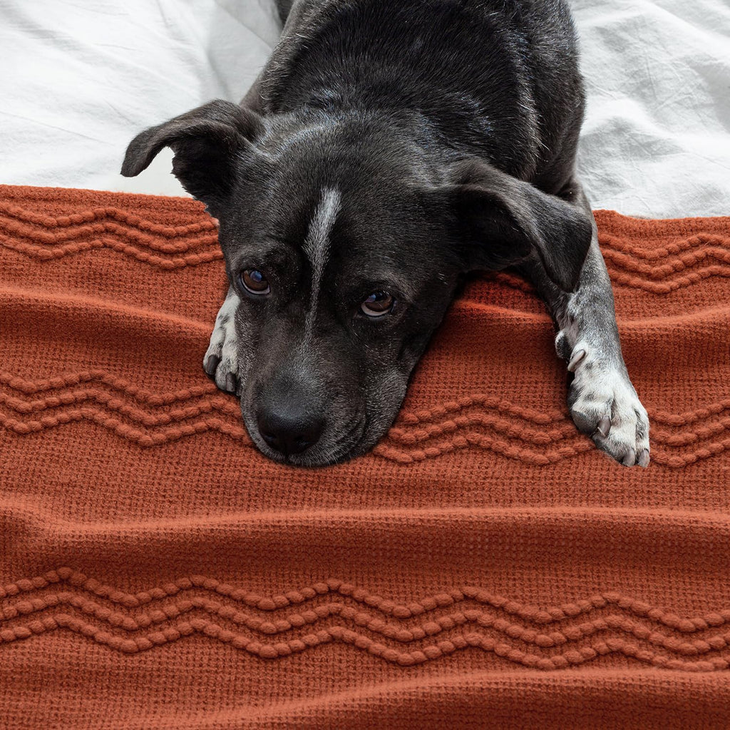 MIULEE Fall Rust Knitted Throw Blanket for Couch Boho Terracotta Textured Cozy Woven Blanket with Tassels for Sofa Chair Bed Living Room Acrylic Wave Pattern 60"x80"