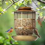 Bird Feeder for Outdoors, Funnel Style Wild Finch Feeders for Outside Hanging Courtyard Bird Watching, Metal Birdfeeder with Lid Fixing Buckle, 3Lbs Capacity