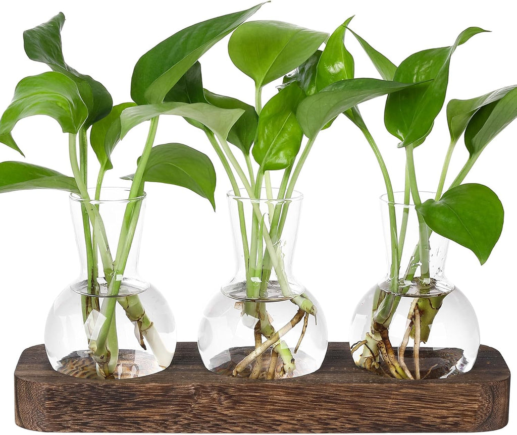 YIBOT Propagation Stations,Plant Propagation Vase,Desk Plant Terrarium with Retro Wooden Stand,Plant Lover Gifts for Women for Hydroponics Plants Home Garden Wedding Decor(3 Vase)