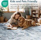 8x10 Ft Large Area Rugs for Living Room, Soft Non-Slip Washable Rugs Modern - Image 4