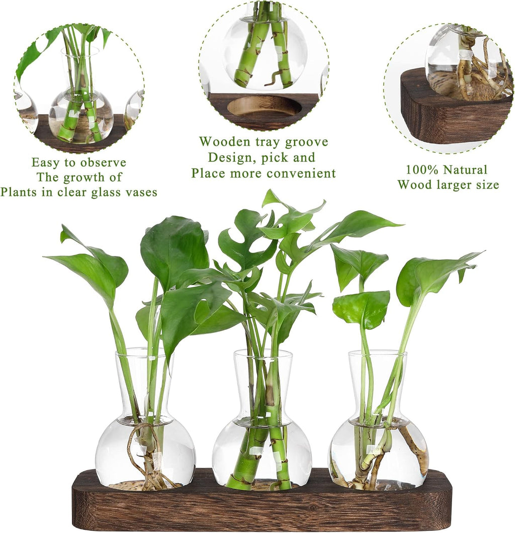 YIBOT Propagation Stations,Plant Propagation Vase,Desk Plant Terrarium with Retro Wooden Stand,Plant Lover Gifts for Women for Hydroponics Plants Home Garden Wedding Decor(3 Vase)