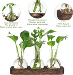 YIBOT Propagation Stations,Plant Propagation Vase,Desk Plant Terrarium with Retro Wooden Stand,Plant Lover Gifts for Women for Hydroponics Plants Home Garden Wedding Decor(3 Vase)