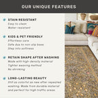 Boho 7x9 Brown Rug for Living Room - Image 7
