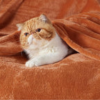 Bedsure Orange Throw Blankets Fleece Blanket Twin Blanket - Image 2