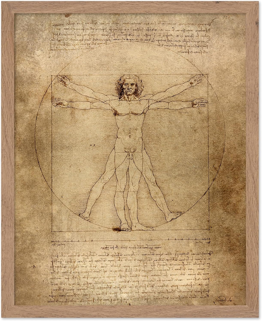 Poster Master Classic Leonardo Da Vinci Poster - Vintage Renaissance Print - Gift for Artist, Friend - Vitruvian Man, Proportion, Symmetry, Human Body - Wall Decor for Office, 8x10 Beige Framed