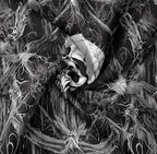 Tapzen Gothic Black and White Tapestry Wall Hanging - Dark Skeleton Horror Aesthetic for Bedroom, Living Room, Dorm (60 x 50 inches)