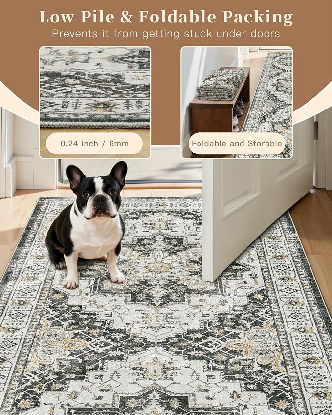 Madane Area Rug 3x5, Washable Vintage Entry Rugs - Image 6