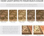 SAFAVIEH Lyndhurst Collection Runner Rug - Image 8