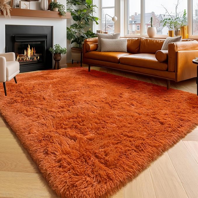 Amdrebio Burnt Orange Shag Plush Large Area Rug 6x9 by Amdrebio