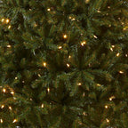 National Tree Company Pre-Lit Artificial Full Christmas Tree, Green, Dunhill Fir, Dual Color LED Lights, Includes PowerConnect and Stand, 7.5 Feet