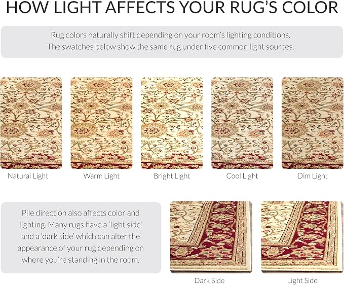 SAFAVIEH Lyndhurst Collection Area Rug - Image 6