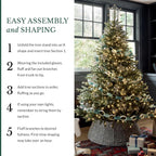 Balsam Hill 5.5 ft Unlit Classic Blue Spruce - Artificial Christmas Tree with Premium Stand & Storage Bag for Indoor Holiday Decorating