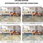 8x10 Rugs for Living Room - Image 7