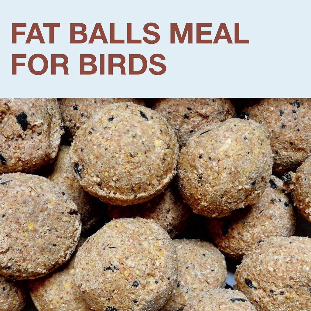 SWISSINNO No Mess Bird Feeder Lucerne Smart Birds for Fat Balls - Feed Birds, not mice & Rats! Robust & Reliable for Hanging - Made in EU - Light Blue