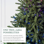 Balsam Hill 6.5ft Pre-Lit Classic Blue Spruce Artificial Christmas Tree with 2,144+ Tips, 330 Twinkly LED Smart Lights, Easy Plug System, Premium Stand & Storage Bag for Indoor Holiday Decorating