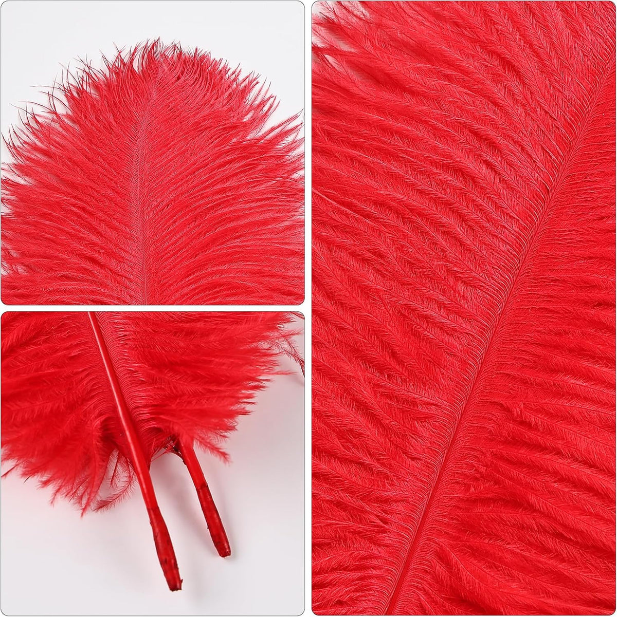 THARAHT Red Ostrich Feathers 12pcs Natural Bulk 8-10Inch 20cm-25cm for Crafts Wedding Party Centerpieces Flower Arrangement Halloween and Home Decoration Feathers
