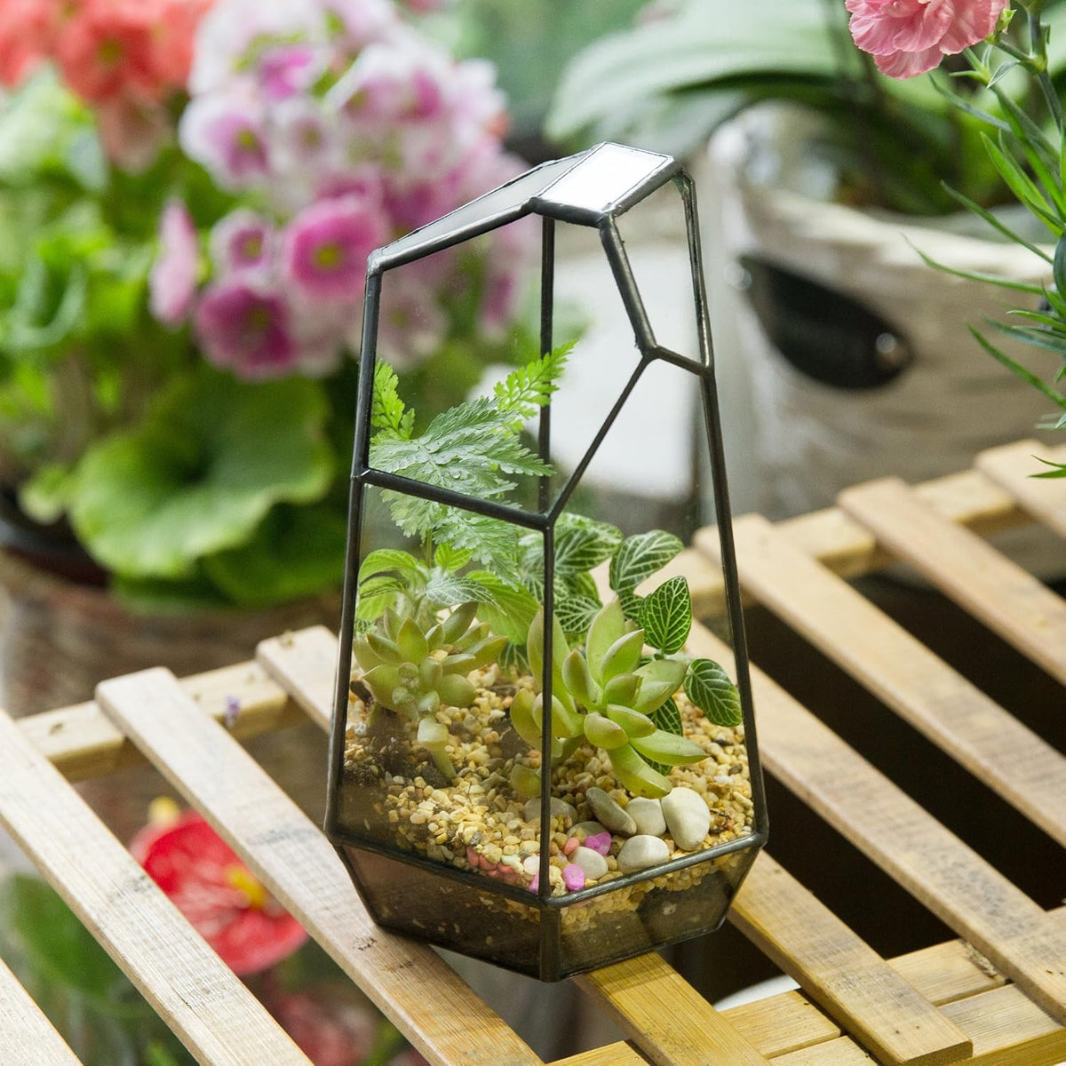 NCYP Small Glass Geometric Terrarium - 4.9 x 3.9 x 7.4 Inches Irregular Clear Planter Pot for Succulents, Cactus, Indoor Garden Tabletop Decoration, Centerpiece (No Plants, No Door)