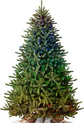 Balsam Hill 7ft Pre-Lit Classic Blue Spruce - Artificial Christmas Tree with Twinkly Lights, Easy Plug Technology, Premium Stand & Storage Bag for Indoor Holiday Decorating