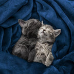 Utopia Bedding Ultra Soft Fleece Bed Blanket Queen Size Navy | Microfiber Plush - Image 7