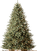 Balsam Hill 9ft Pre-Lit Classic Blue Spruce - Artificial Christmas Tree with 1500 Clear Incandescent Lights, Easy Plug Technology, Premium Stand & Storage Bag for Indoor Holiday Decorating