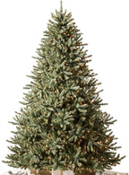 Balsam Hill 7.5ft Pre-Lit Classic Blue Spruce - Artificial Christmas Tree with 1000 Clear Incandescent Lights, Easy Plug Technology, Premium Stand & Storage Bag for Indoor Holiday Decorating