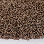 SAFAVIEH Area Rug 4x6 - Image 8