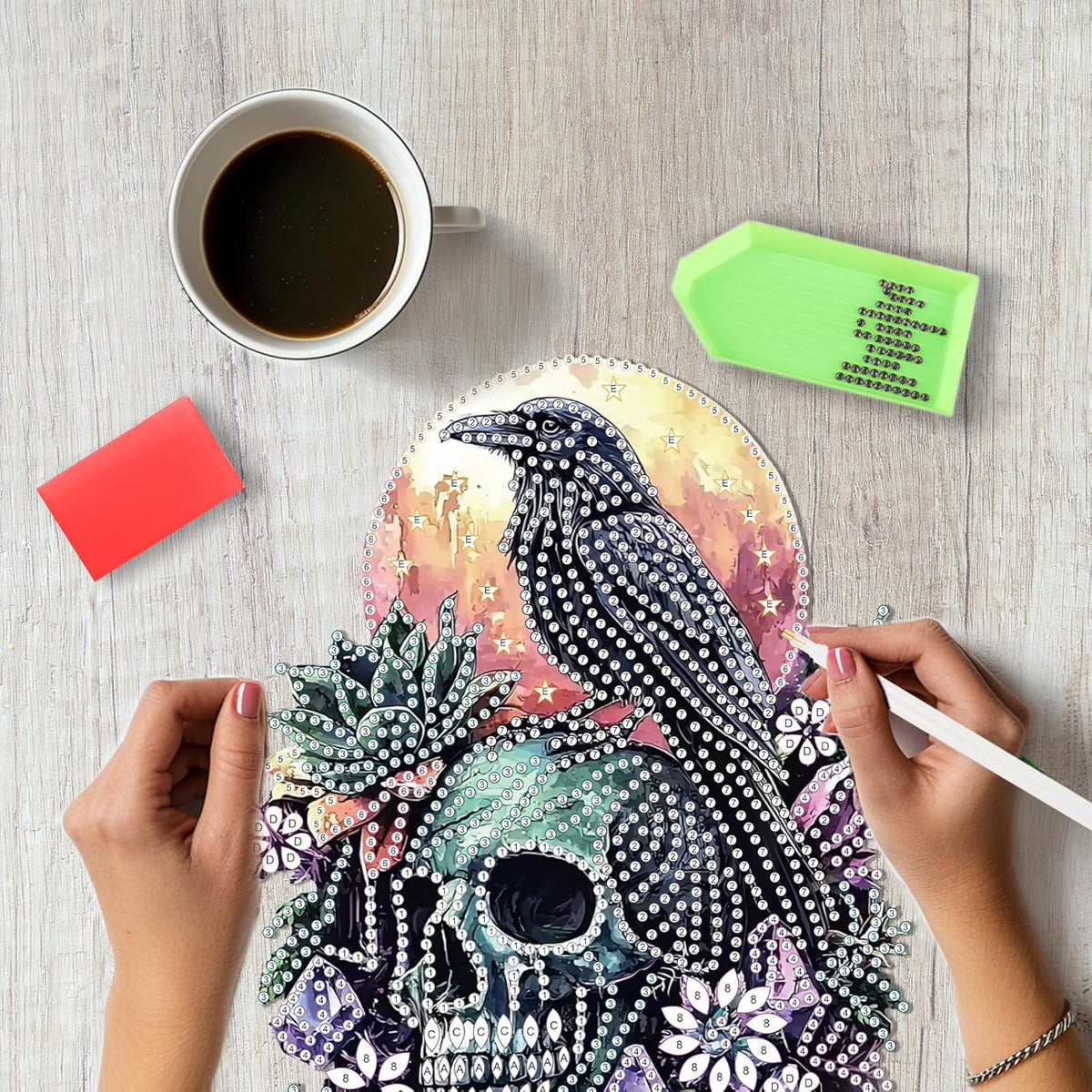 SENQAO Crow Diamond Art Hanging Kit for Adult, Special Shaped Rhinestone, Double Sided DIY Acrylic Diamond Art Painting Window Pendants Home Garden Wall Hanging Kits Hanging Ornament (Raven Skull)