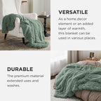 Bedsure GentleSoft Fluffy Sage Green Throw Blanket, Sage Green Decor for Room, Soft Cozy Fuzzy Plush Minky Thick Warm Sherpa Fleece Faux Fur Throw Blanket for Couch, Decorative Spring Gifts, 50x60