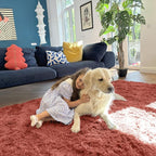 OLANLY 5x8 Machine Washable Large Area Rugs - Image 5
