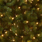 National Tree Company Pre-Lit Artificial Full Christmas Tree, Green, Dual Color LED Lights, Includes PowerConnect and Stand, 9 Feet
