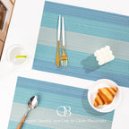 Placemats Set of 6 - Easy Clean Woven Vinyl Placemats for Dining Table, Indoor/Outdoor Place Mats, Washable PVC Table Mats（Ocean Geode）