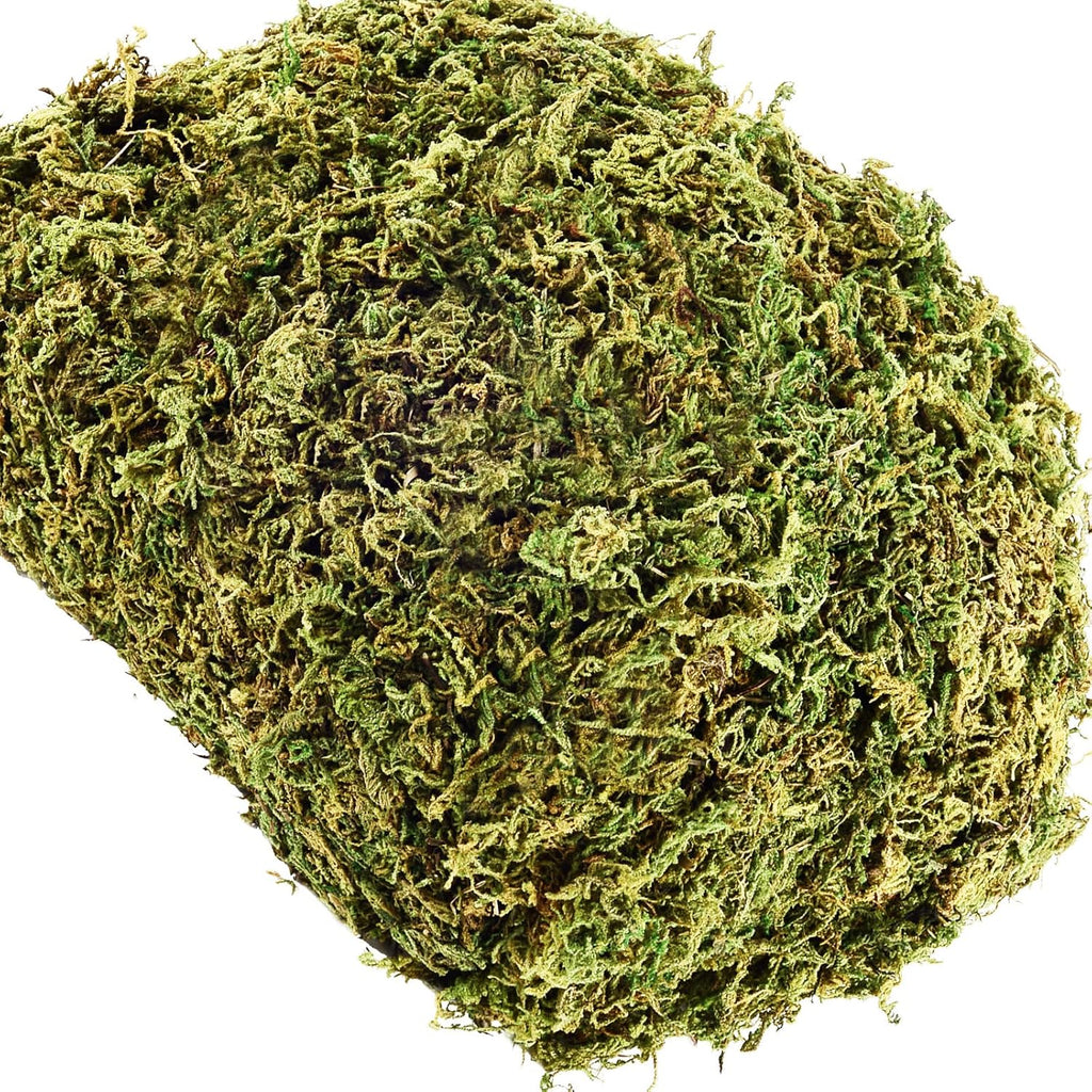 35 OZ Fake Moss for Potted Plants Artificial Moss for Fake Plants Faux Moss for Planters Decorative Moss for Craft and Home Decor…