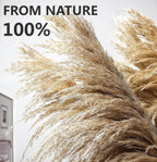 40" inch 10 Stems Pampas Grass Decor Tall, Pampas Grass Bouquet, Natural Dried Flowers for Wedding, Natural Home Decor, Wall Grass, Glam Decor