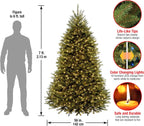 National Tree CompanyNational Tree Company Pre-Lit Artificial Full Christmas Tree, Green, 7 Feet & Pre-Lit Artificial Christmas Wreath, Green