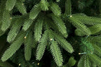 Evergreen Valley Fraser Fir Christmas Tree (6ft Pre-lit)