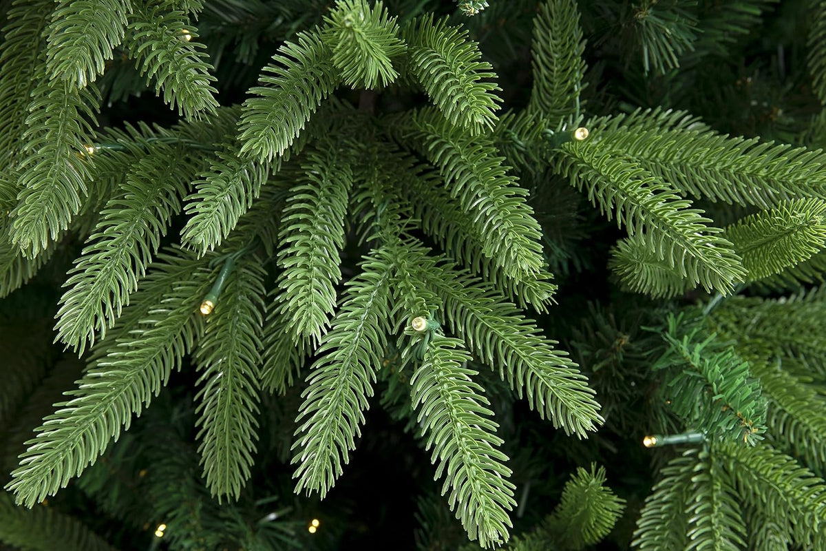 Evergreen Valley Fraser Fir Christmas Tree (6ft Pre-lit)