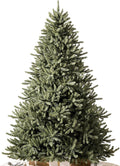 Balsam Hill 5.5 ft Unlit Classic Blue Spruce - Artificial Christmas Tree with Premium Stand & Storage Bag for Indoor Holiday Decorating