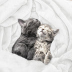Utopia Bedding Ultra Soft Fleece Bed Blanket King Size White | Microfiber Plush - Image 4
