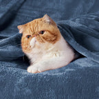Bedsure GentleSoft Fleece Blanket California King Blue - Image 3