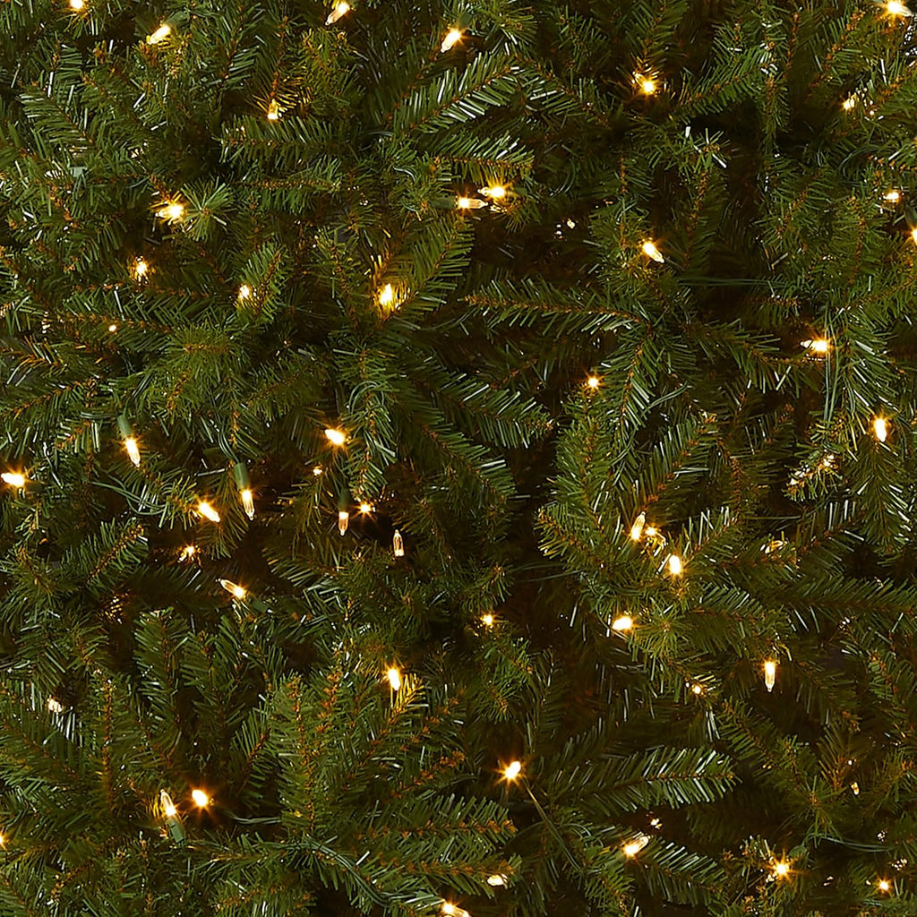 National Tree Company Pre-Lit Artificial Full Christmas Tree, Green, Dunhill Fir, Dual Color LED Lights, Includes PowerConnect and Stand, 10 Feet